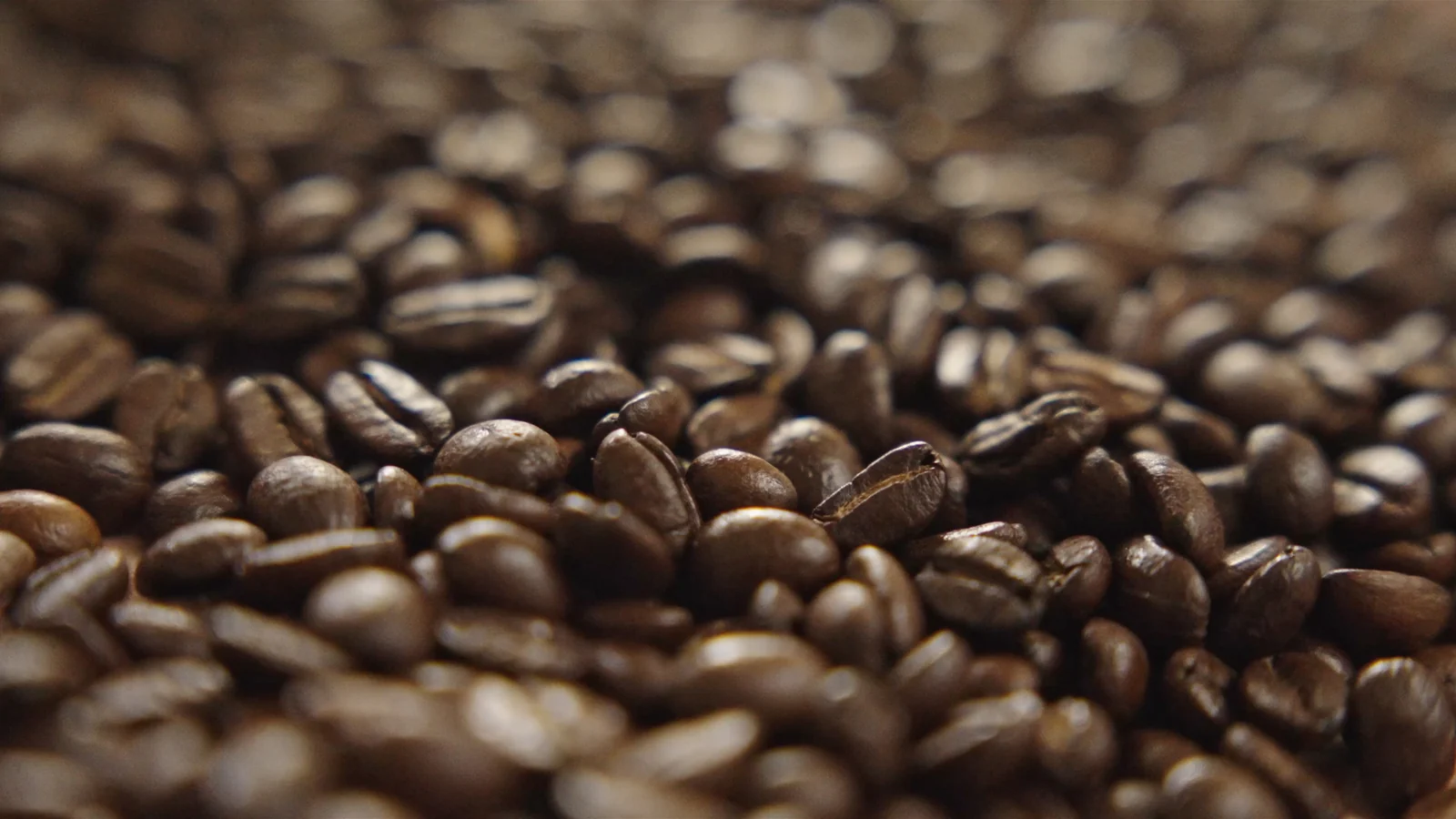 Roasted coffee beans in warm light